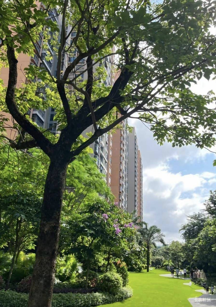 实测贝壳确实可以多号！，我三个号，每个号都提了40左右，同个实名额度好像是共用的。89 / 作者:北纬深沉 / 