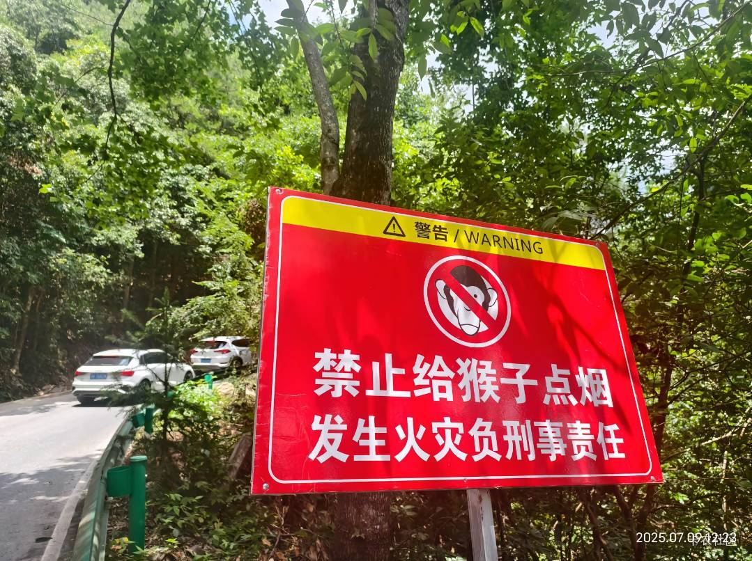 出来走走  你们谁给猴子点烟的?