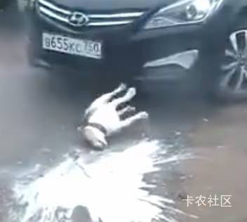 刀哥，这辈子直了

87 / 作者:弱水只取一瓢饮 / 