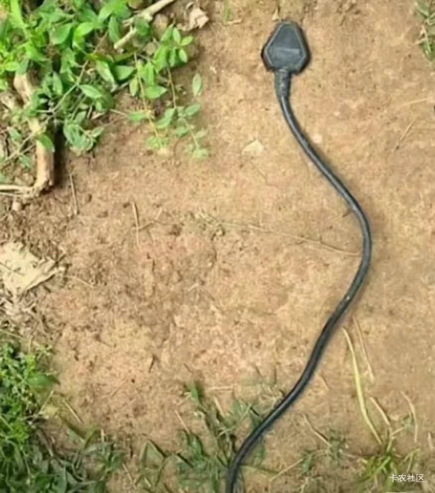 这2个是什么蛇，tm一下窜出来吓死我了


42 / 作者:我爱看动画片 / 