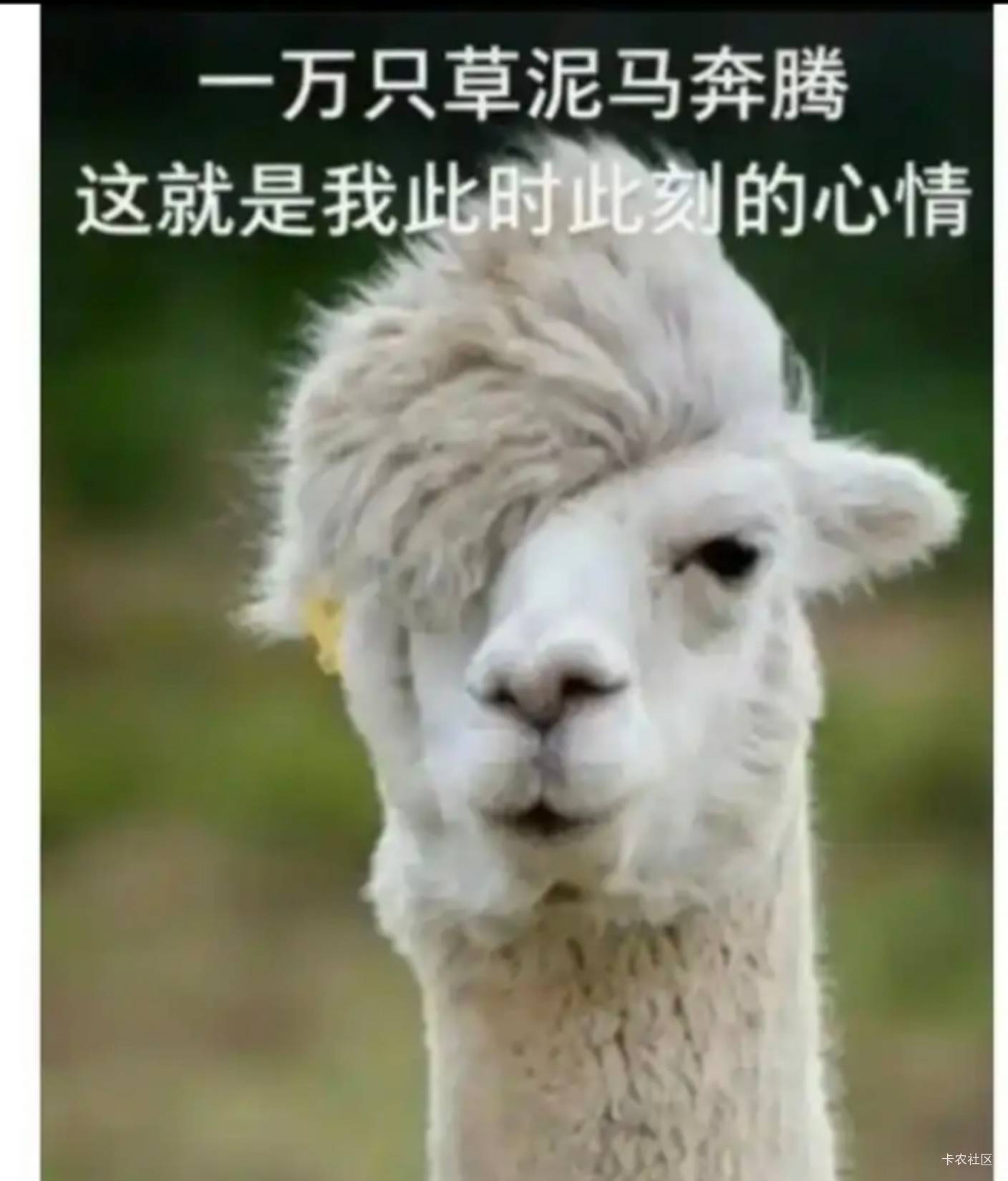 两个贝壳新号都是审核了五条过了就不审了

25 / 作者:lyt1 / 