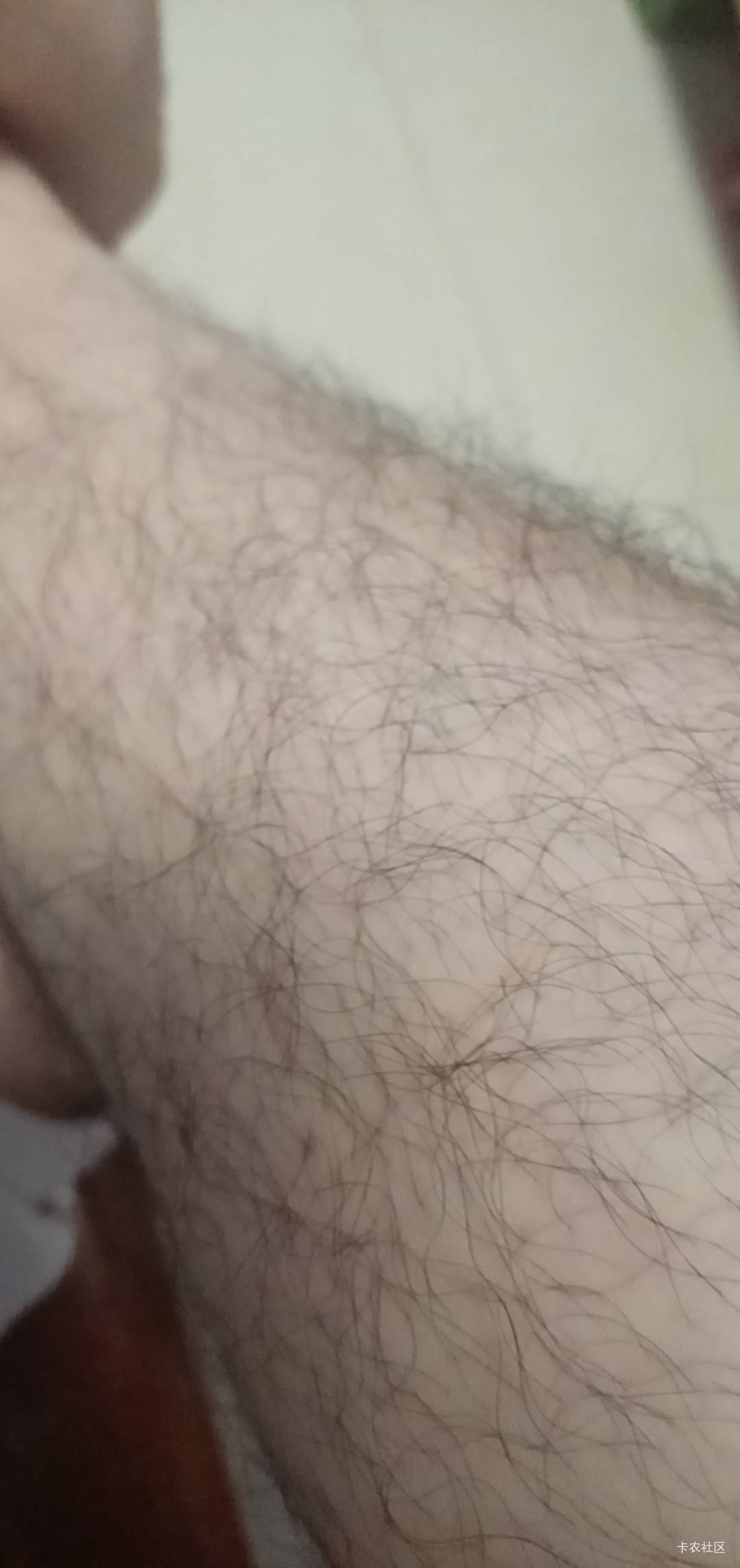 别在说没毛了，看这不都不是毛吗

34 / 作者:打昏过去了 / 