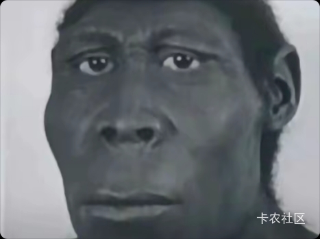 来卡农3年了，闲鱼卖了351万多 ，纯利润没算，也不好算。估计有280个左右吧？
闲卡宝58 / 作者:夞蕤毂㝶 / 