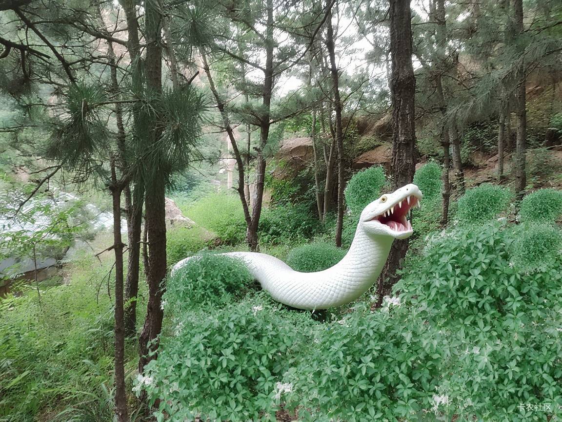 打卡

8 / 作者:北纬深沉 / 