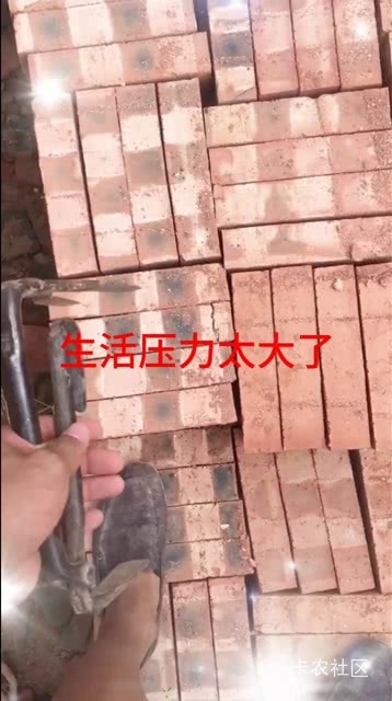 又是0收入的一天，羊毛末日，天气又热，早点进厂吧。

91 / 作者:MercyMei / 