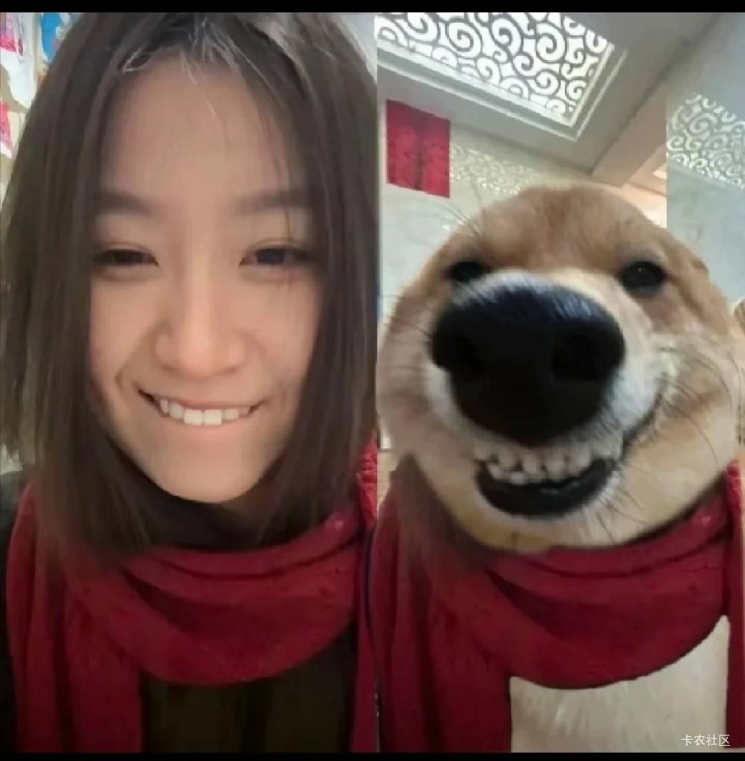 长时间无目的的重复刷手机，其实是一种大脑僵化表现出来的刻板行为。感觉自己每天什么62 / 作者:神孙策 / 
