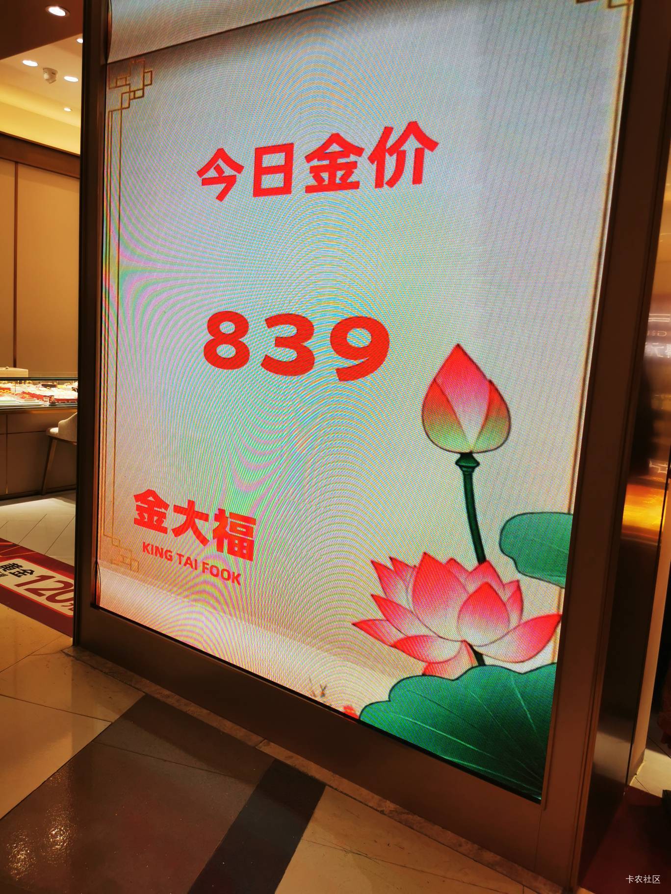 空无一毛，何以上岸？

10 / 作者:卡卡卡卡夫 / 
