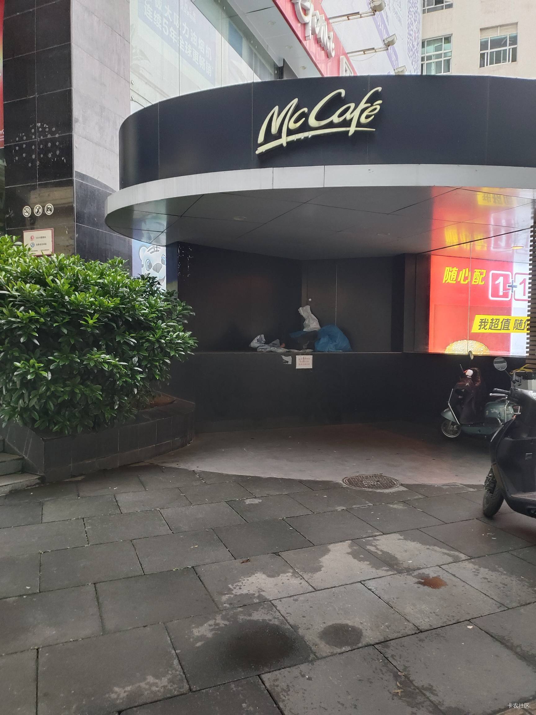 这是老哥住的露天大豪宅啊

89 / 作者:菲菲飞呀飞 / 