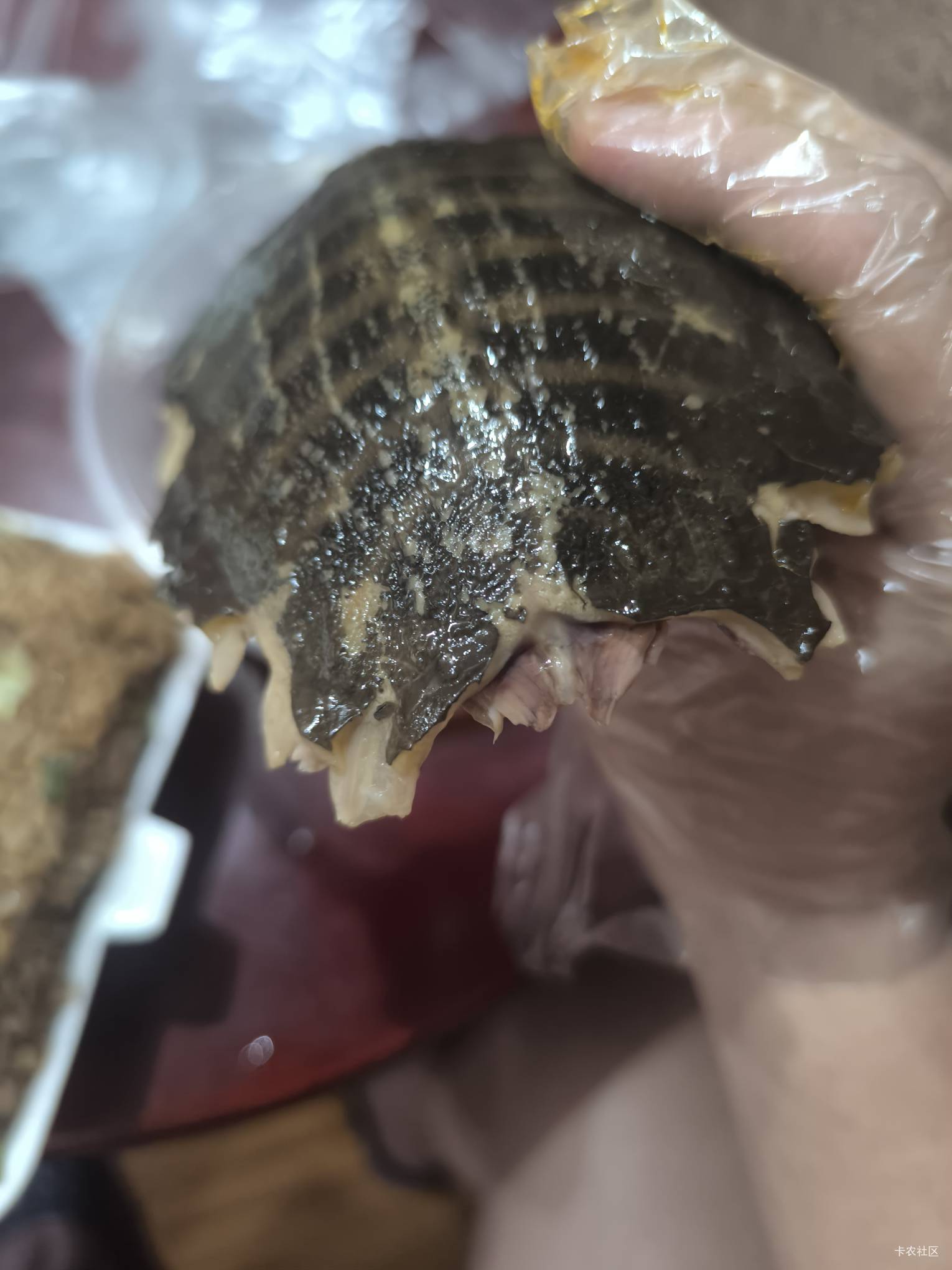 吃宵夜了老哥们，出去一趟花了70大毛，申请毛一天都申请不到70我咋这么嘴贱呢

41 / 作者:木兰打野 / 