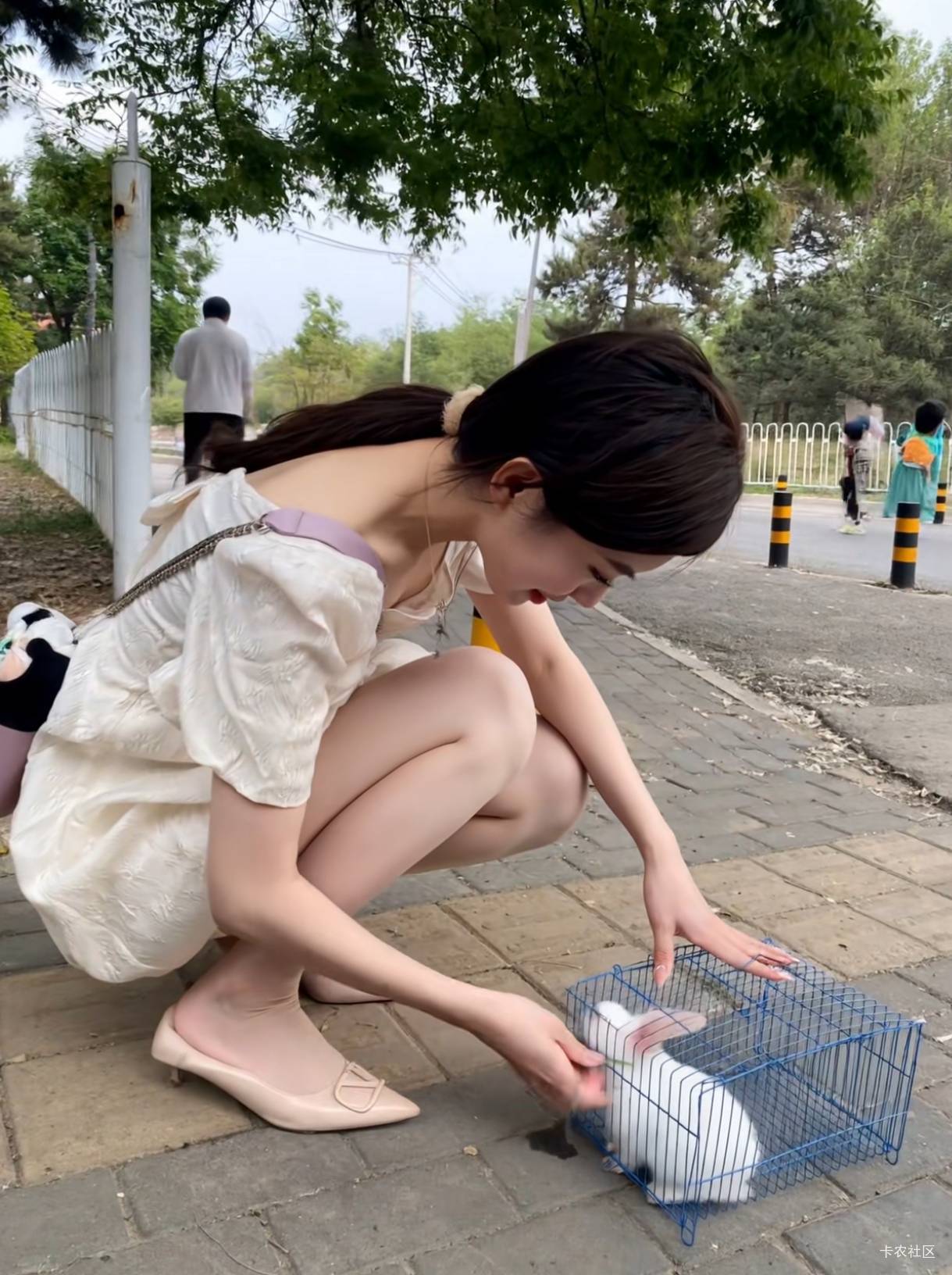 鱼上面的苹果8p稳吗？想搞一个系统能装巨魔的果机30 / 作者:会打篮球的ikun / 