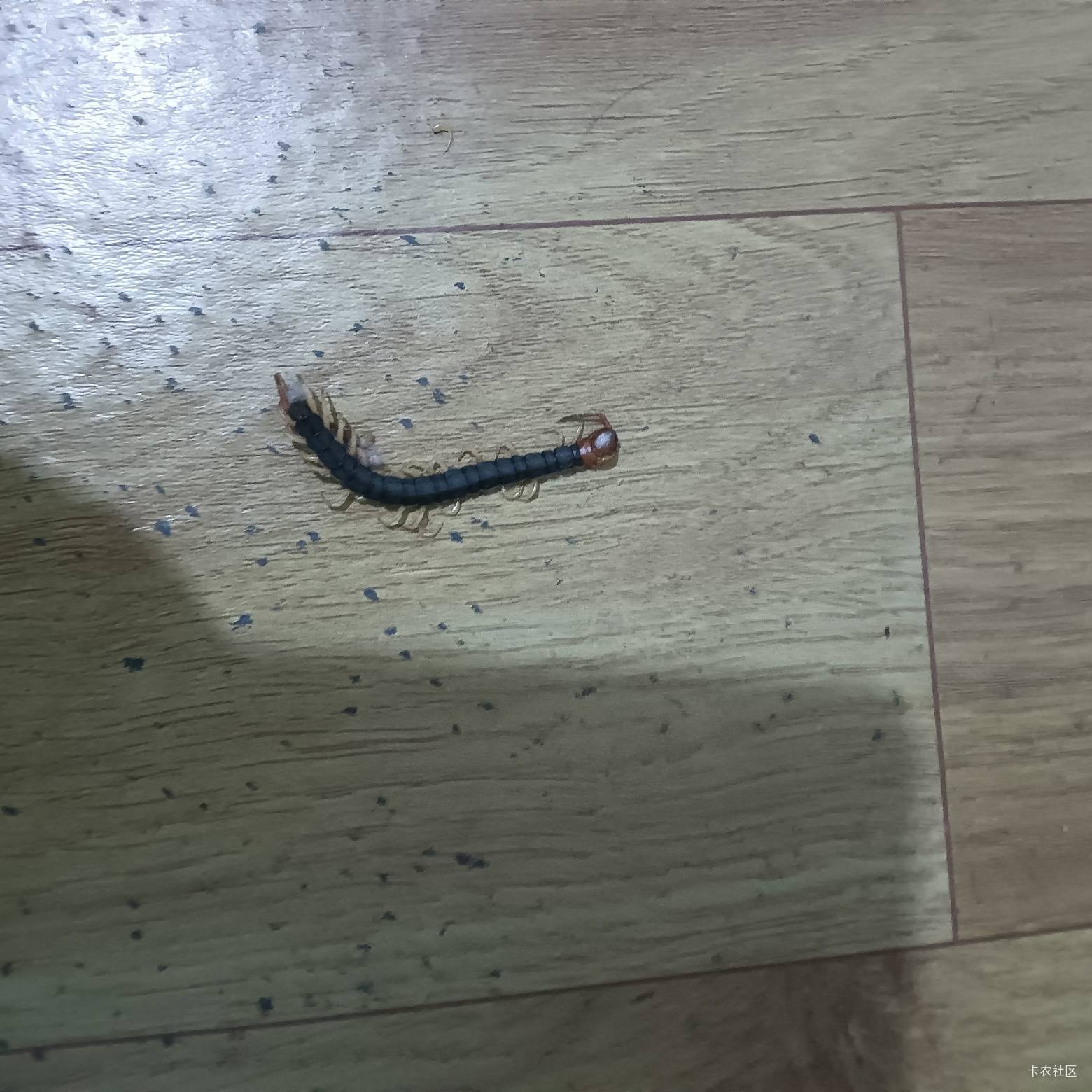 胳膊肿了这么大 胀得很


24 / 作者:那可不一定 / 