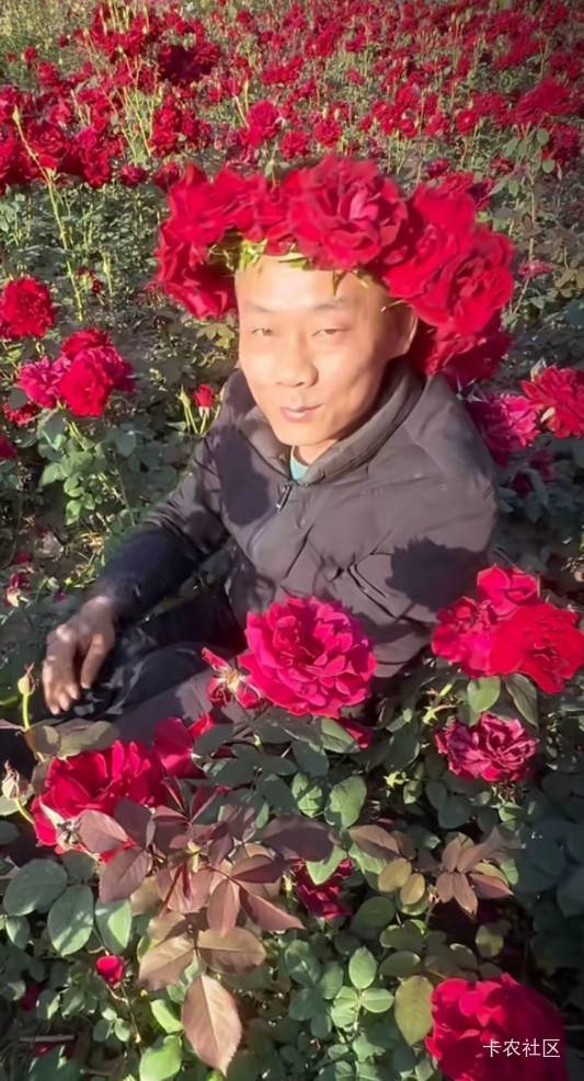 滴滴专车滞销帮帮我们

28 / 作者:方法莞惠的 / 