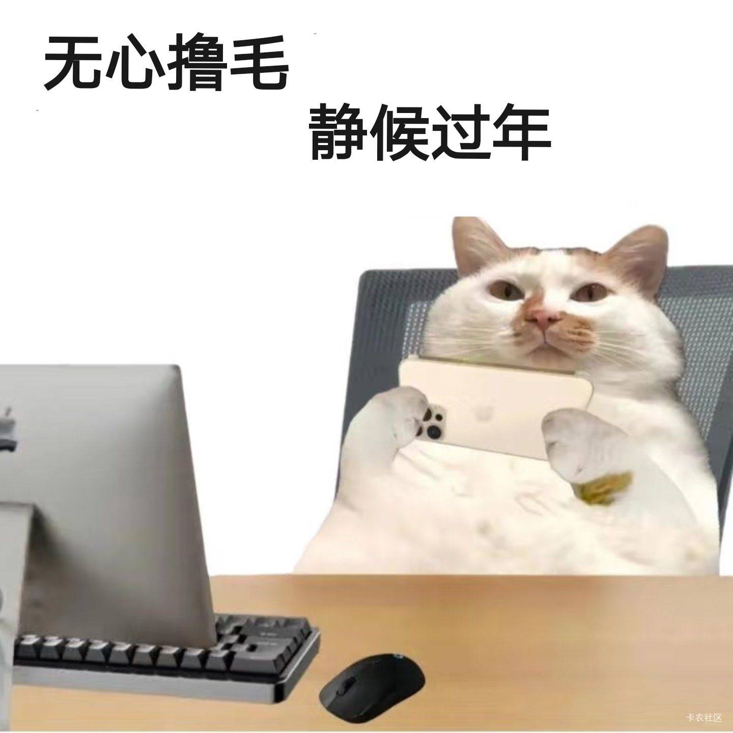 老哥老哥你别馋，饿过今天就是年。晚安

14 / 作者:驴背上的拿破仑 / 