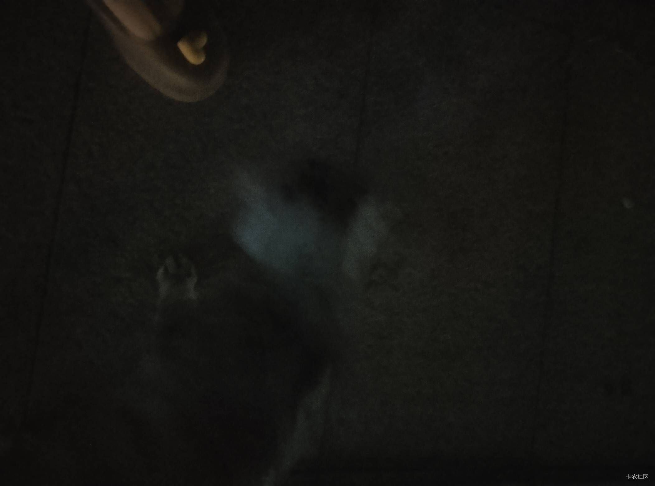猫猫真可爱。今晚就和它一起睡了。今晚老姐就躺广场这椅子睡。


22 / 作者:冰淇淋夏天 / 