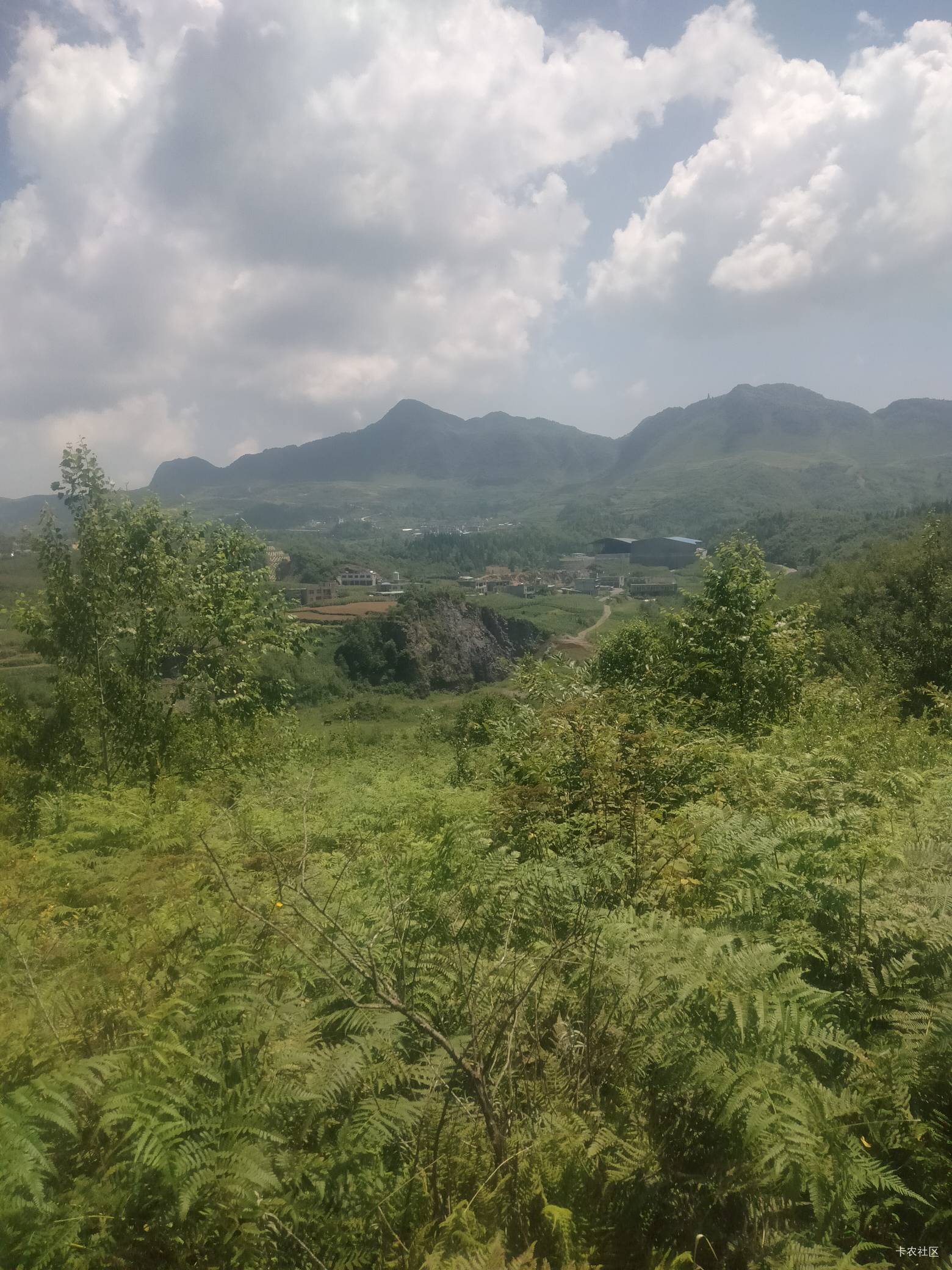 深山老林也有网，准4G的

13 / 作者:卡农第一yy仔 / 
