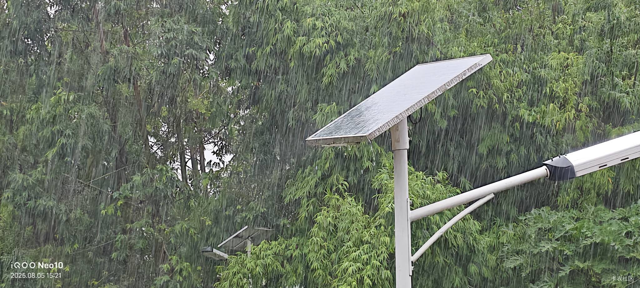 下雨打雷一直这么下，感觉能和去年一样淹起来摸鱼


54 / 作者:不要怪我来得晚 / 
