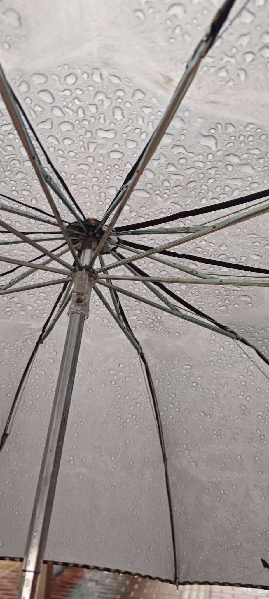 劳资京东50块钱买的天堂雨伞居然这么lj，外面下雨雨伞里面漏水，支架生锈，手握住手里42 / 作者:卡农豆包 / 