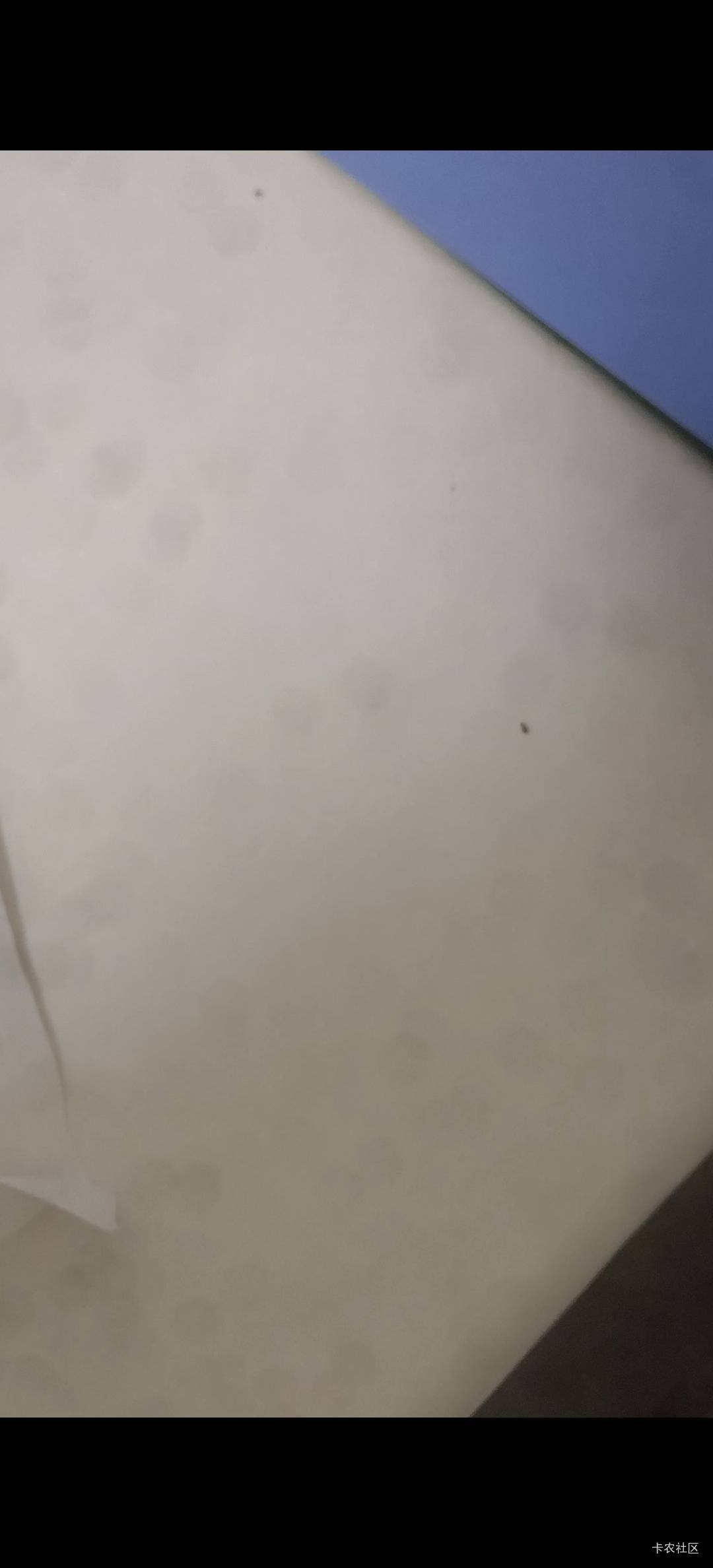 老哥们半夜被咬醒起来发现床上有臭虫。该怎么办啊


82 / 作者:我爸基督教 / 