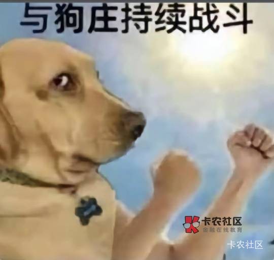 早起的鸟儿有虫吃

76 / 作者:上来看看 / 