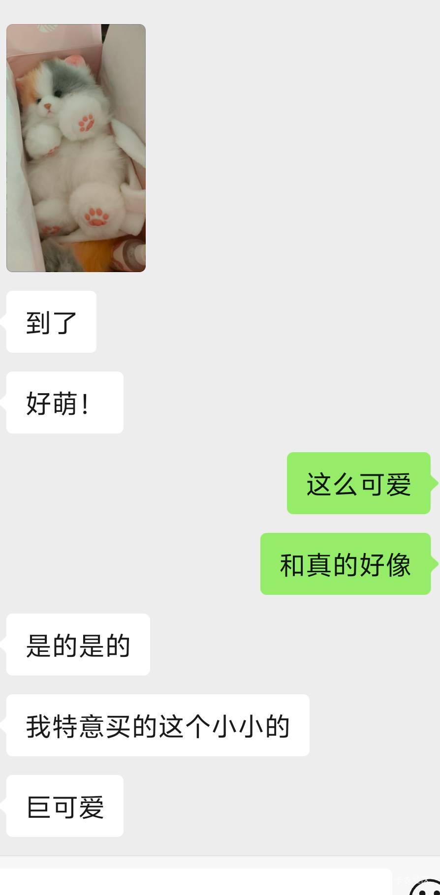 啊啊啊啊啊，好可爱的小猫背包，一看就是软软的，抱在怀里，那绒毛轻轻的暖暖的，如果70 / 作者:白衣卿相风 / 