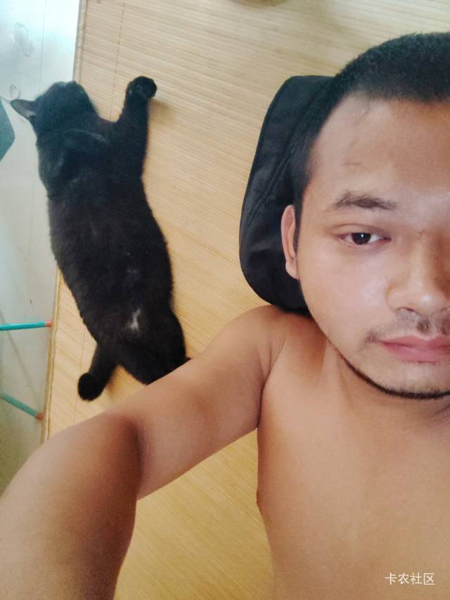 快点发毛啊，，我猫饿晕了

17 / 作者:陆羽 / 