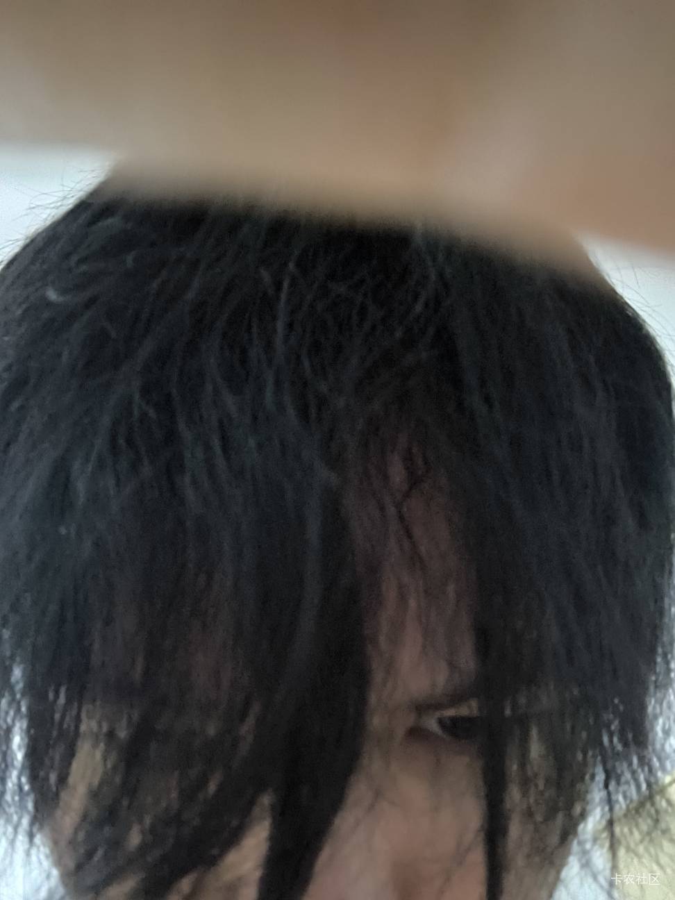 老哥们我发型帅吗 眼睛全部遮起来了别人看不见，就显得很气质 高冷 你们懂吧

60 / 作者:ㅤ林余赚钱 / 