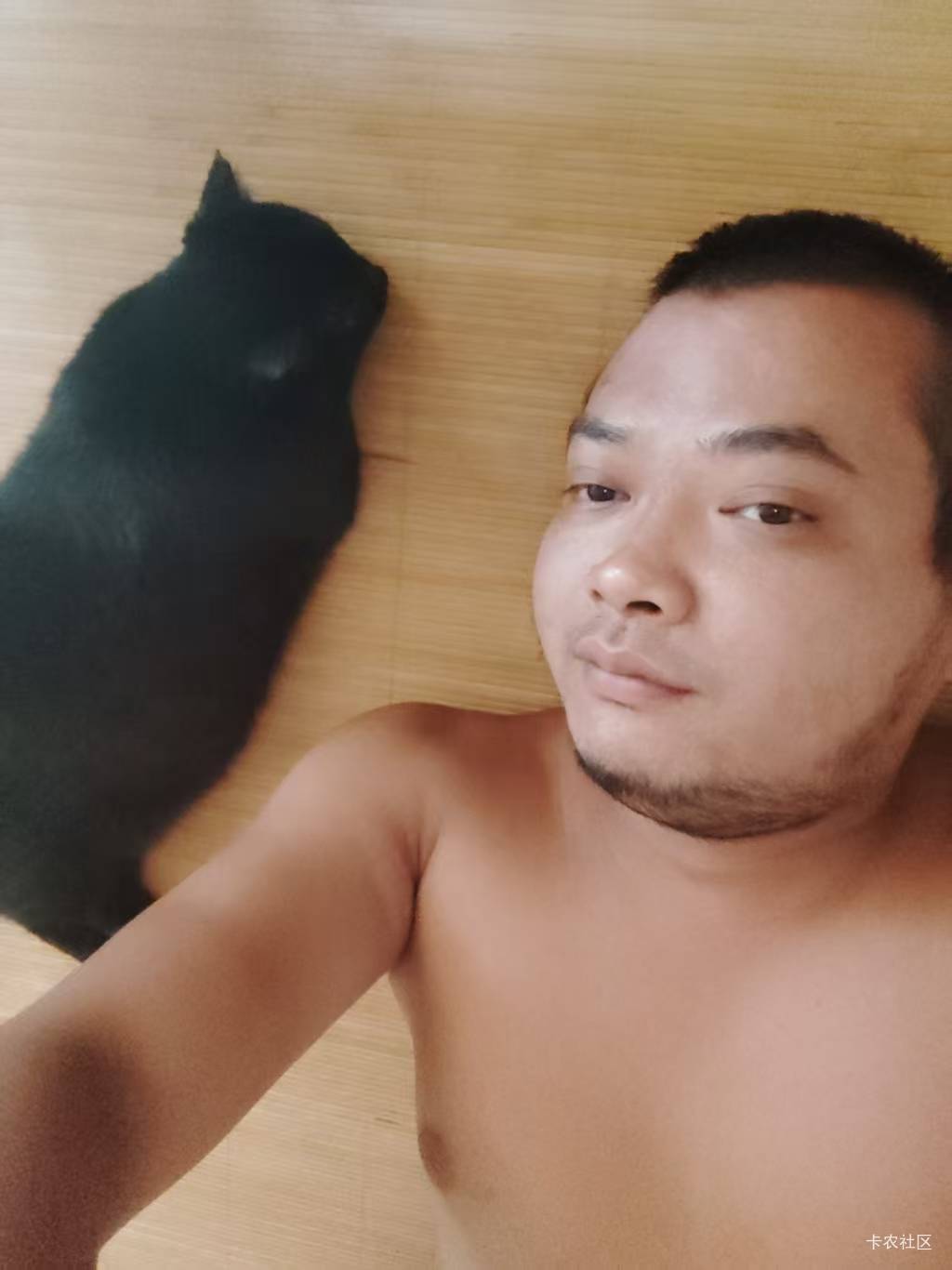 猫猫又饿晕了，能不能给点毛我申请下。

29 / 作者:陆羽 / 