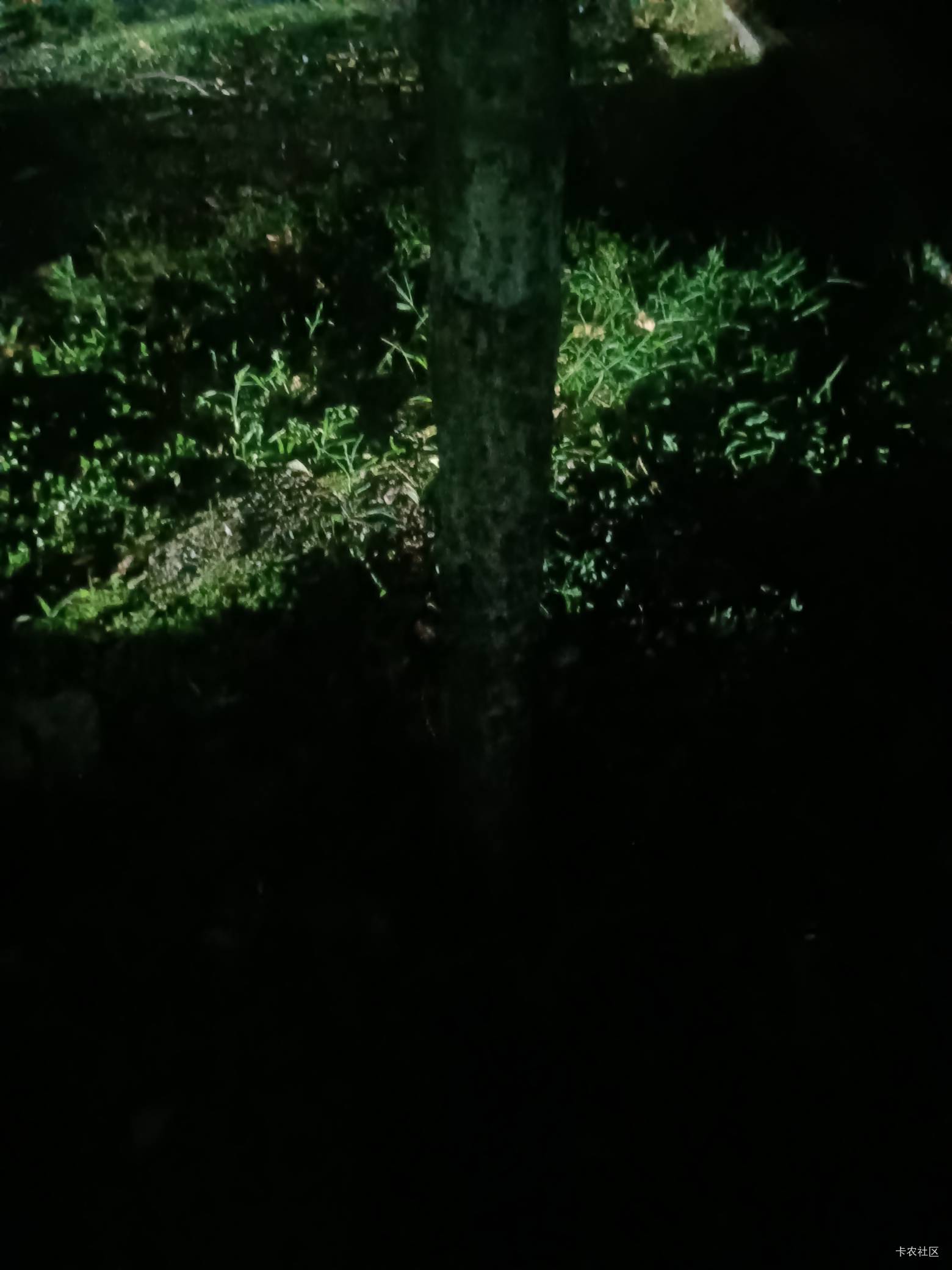 大半夜的没事说说自己，你们就当故事听，马上奔四了，一条老苟，从原来的月入300w，曾9 / 作者:yb230102 / 
