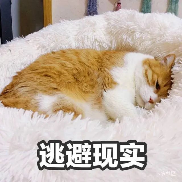 高德挂壁机没有自带分身，用分身软件搞不了，七八个号没法擼，睡觉了最近擼毛不顺，找80 / 作者:驴背上的拿破仑 / 