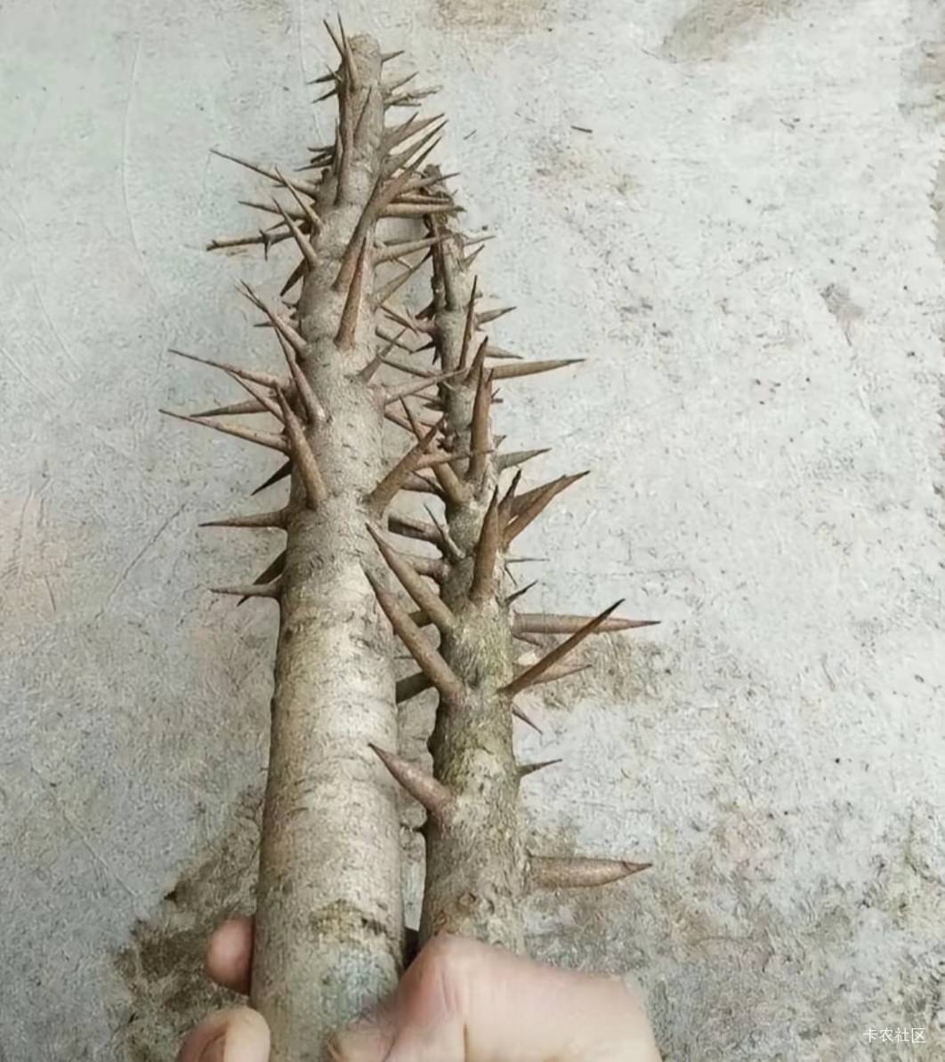捡到个装备


60 / 作者:弱水只取一瓢饮 / 