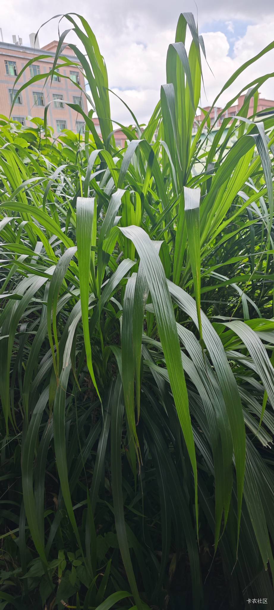 我觉得酒比烟好，酒偶尔喝点还有点好处.烟真的是百害无益，

63 / 作者:卡农豆包 / 