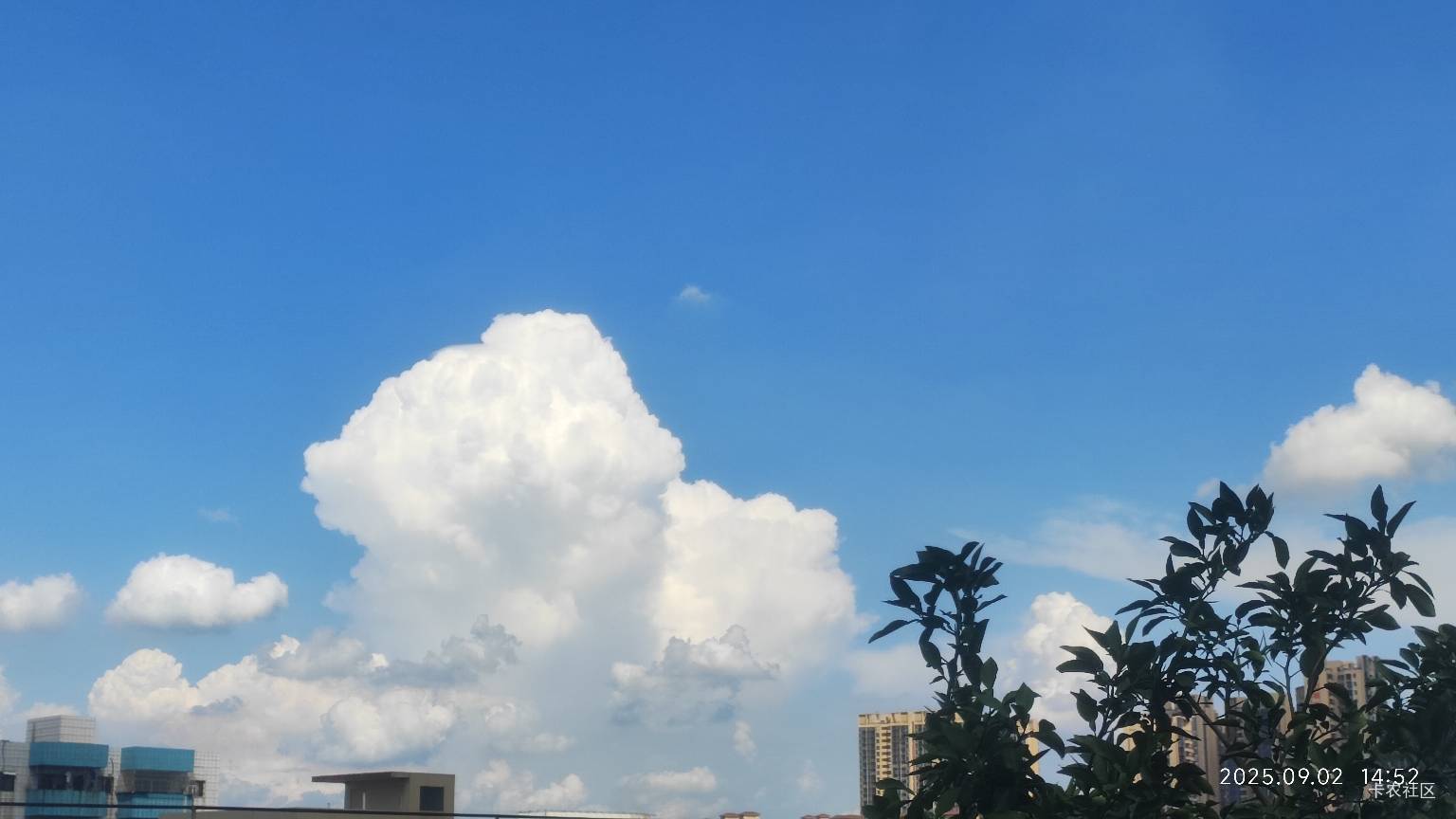 天气晴朗  阳光明媚 风和日丽～

94 / 作者:晚饭没得吃 / 