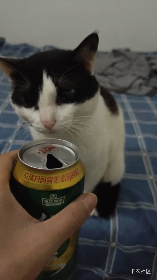 干杯老哥们，又活了一天


29 / 作者:领错三十八块八的吊毛 / 