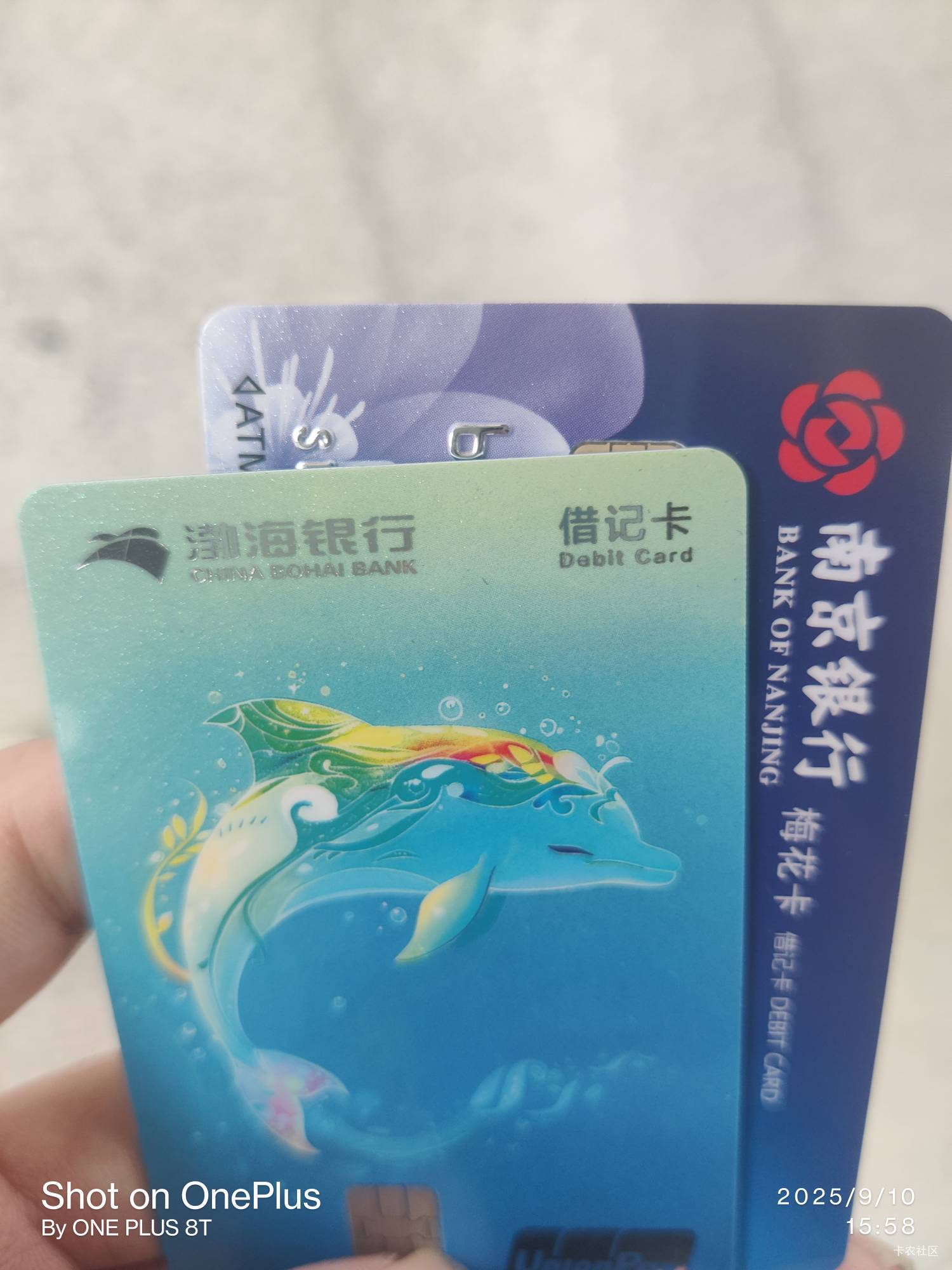 去网点不给办.找中介办一张还给20


78 / 作者:拾念卟执念 / 