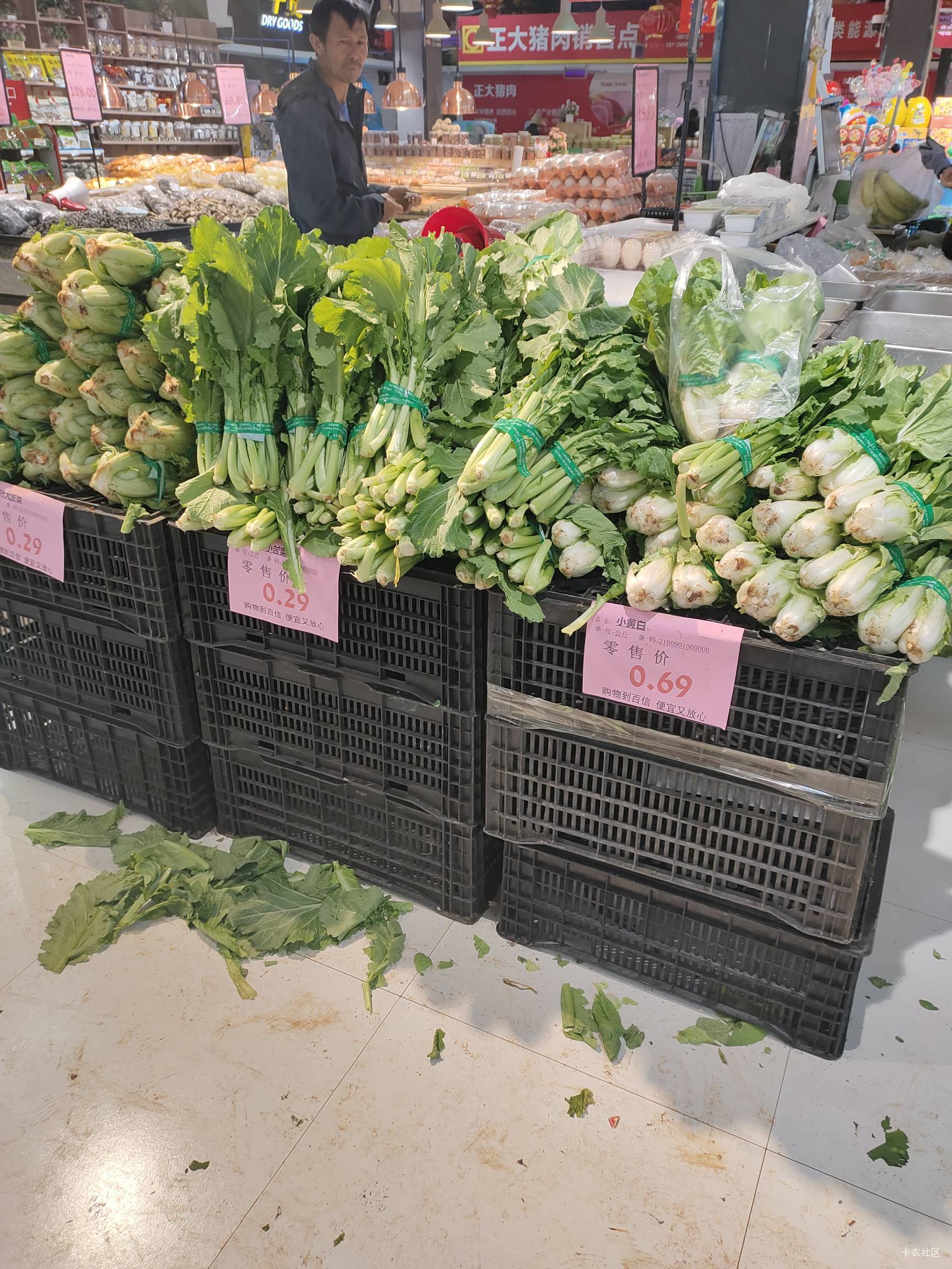 云南这边物价真低，青菜几毛一斤，纯瘦肉11一斤

65 / 作者:菲菲飞呀飞 / 