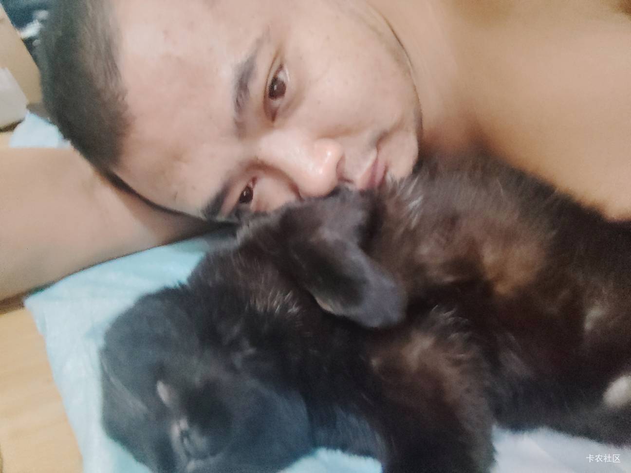我猫这下真的饿晕了，买的猫粮没到已经咕咕叫了。特别是看着我喵喵叫的时候又拿不出猫71 / 作者:陆羽 / 