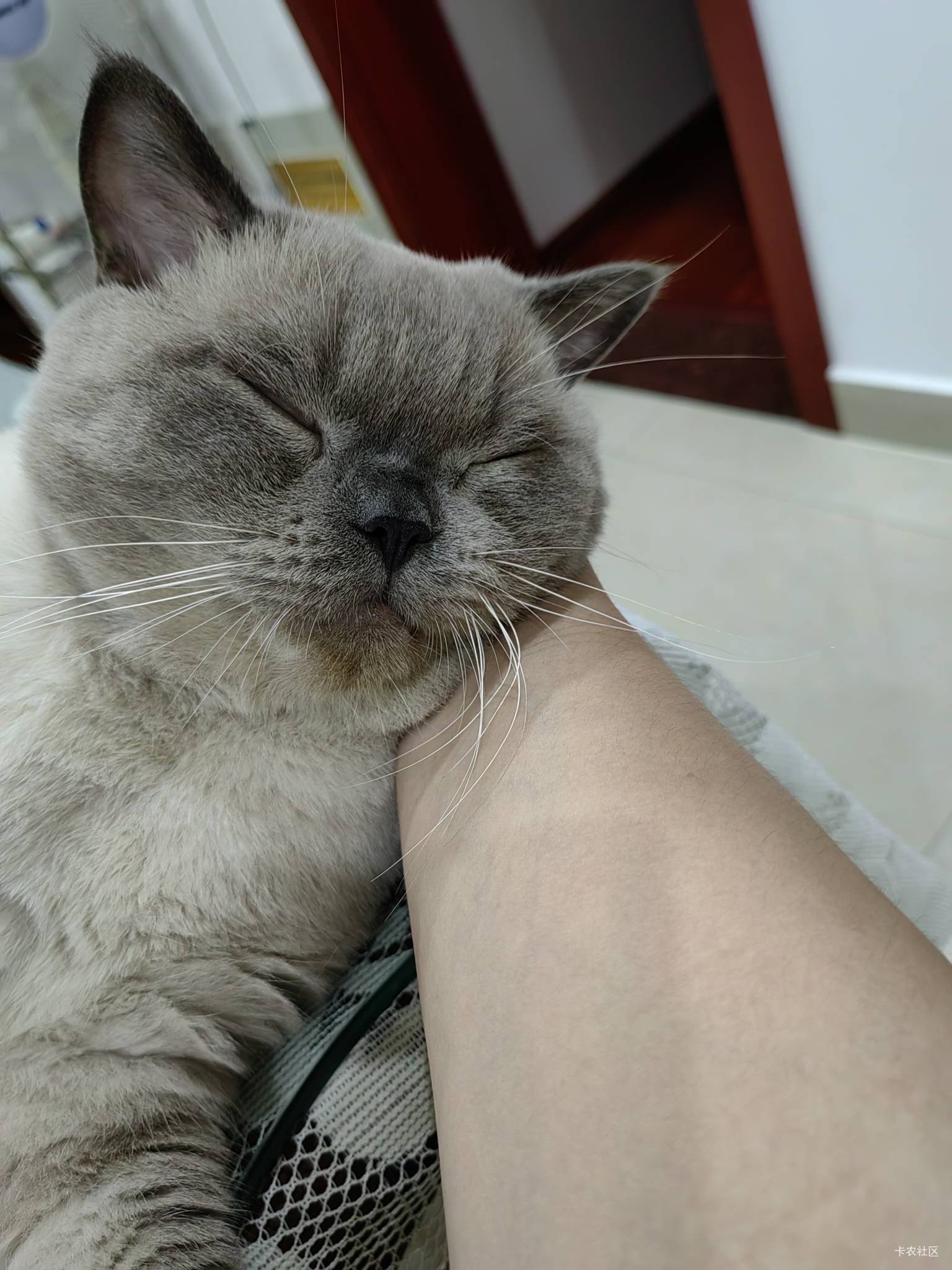 今晚怎么还没见故事汇 报告各位俺还没破蛋 陪猫一起看动画片 申请它蛋


56 / 作者:桃花庵下桃花仙 / 