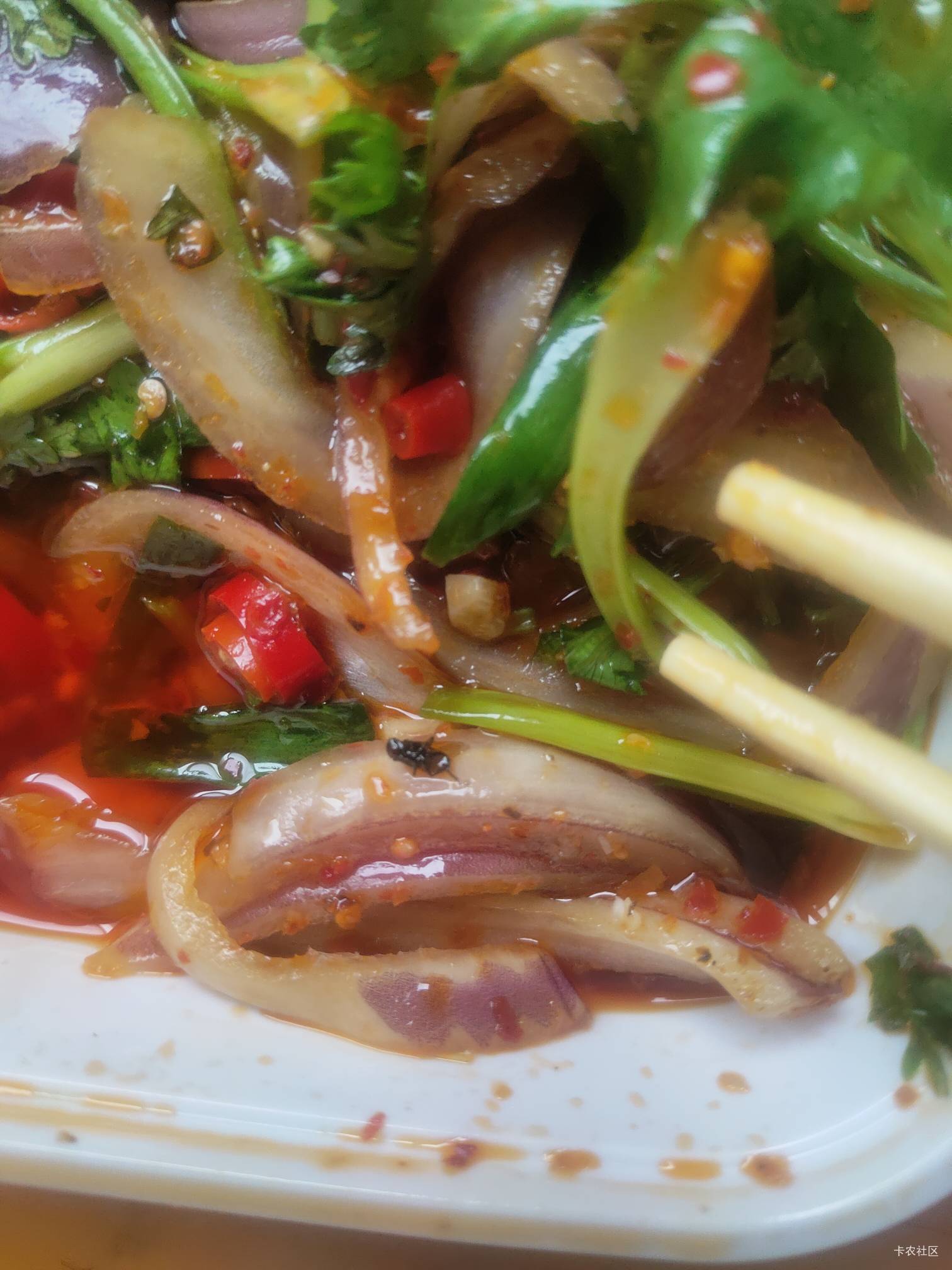 老哥们点外卖千万不要点什么中式健康菜，刚才小蚕看到这家店22反19就点了，结果吃出一66 / 作者:过去已成过去 / 