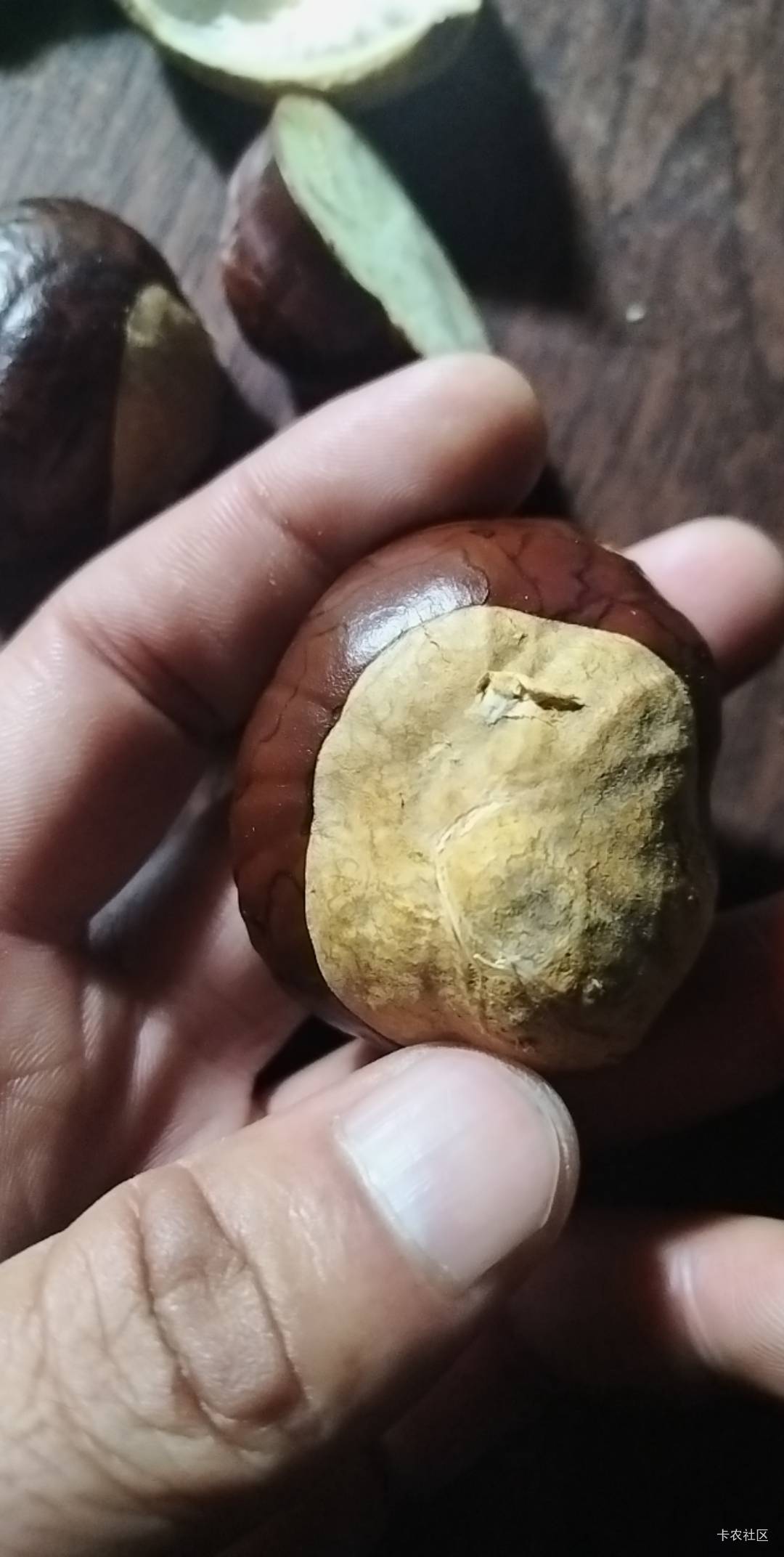 这是什么完应啊有认识的吗



23 / 作者:小木屋123 / 