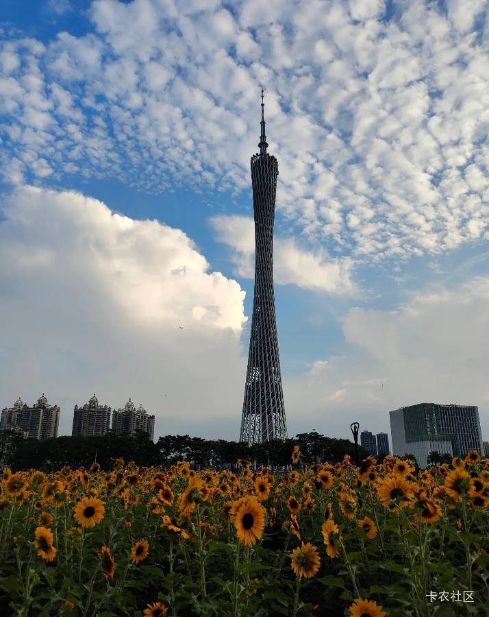 老哥们，我也想成功，戒掉懒惰和其他不良嗜好，等我以后成功了再来和老哥们讲故事

16 / 作者:呔.吃我一锤 / 