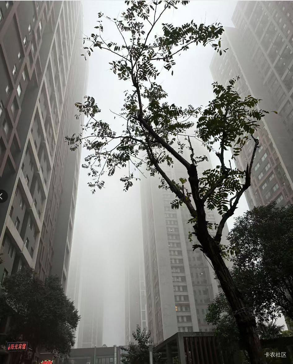 天然的马赛克


27 / 作者:随缘777 / 