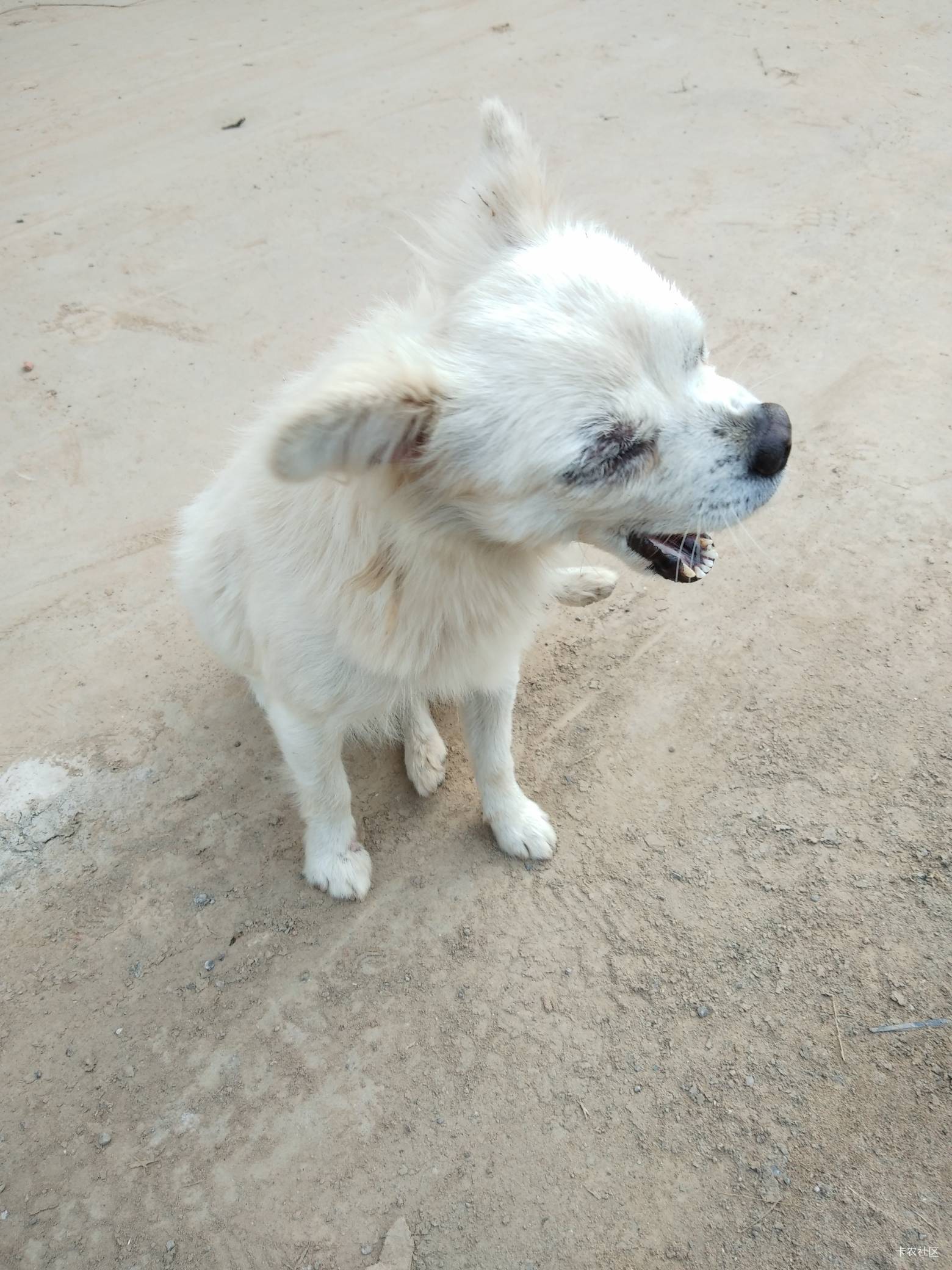 扬州全推了，后面领了还没到的不用急


8 / 作者:昆山挂壁老哥 / 