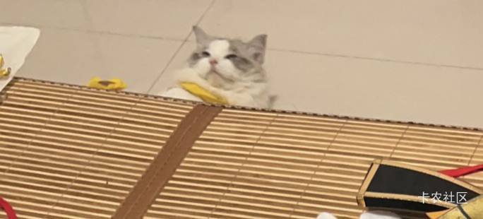 星期天眉毛，别熬夜了，早点睡吧。

2 / 作者:MercyMei / 