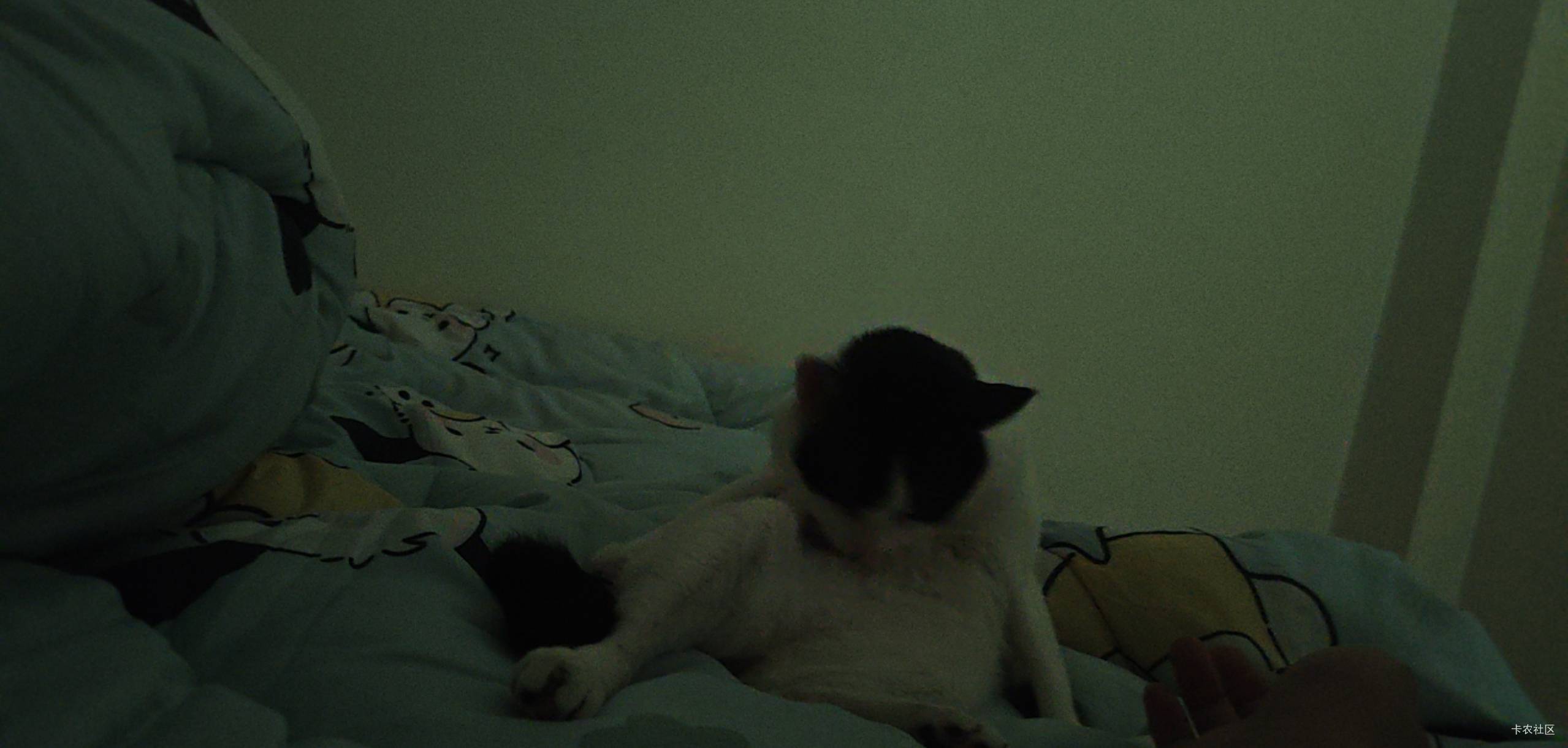 眉毛

15 / 作者:领错三十八块八的吊毛 / 