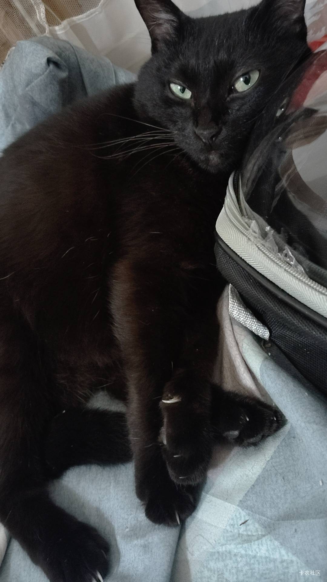 刚醒，打开卡农就看到人人一万，是什么啊？对我打击.了。

38 / 作者:陆羽 / 