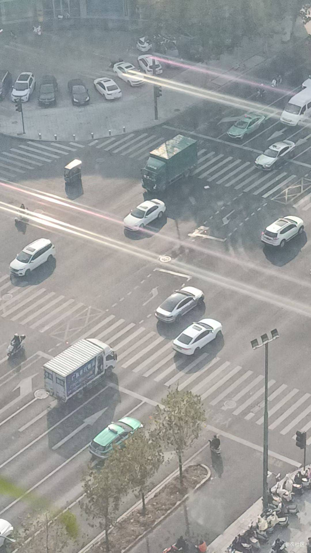 阳光好啊，适合逛公园

48 / 作者:随缘7777777 / 