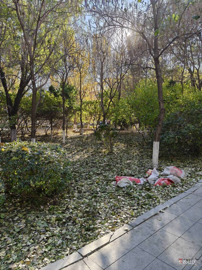 老哥，彻底绝望了@宁波躺平老哥 



10 / 作者:广东瘫痪老哥 / 