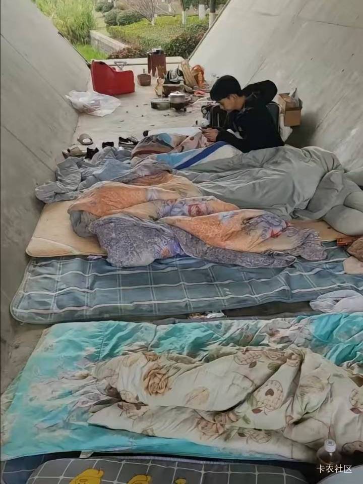 昨晚猜到今天可能是金城社区，但我猜到了开头没猜到这结局，不是载歌载舞而是怨声载道86 / 作者:驴背上的拿破仑 / 