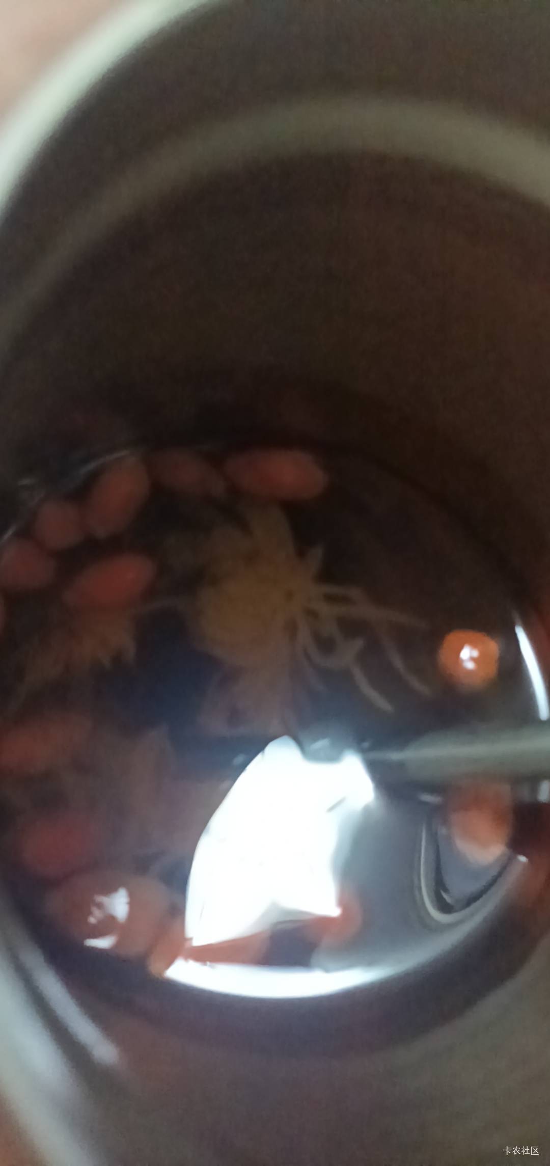 老哥们人到中年不由己了

91 / 作者:打昏过去了 / 