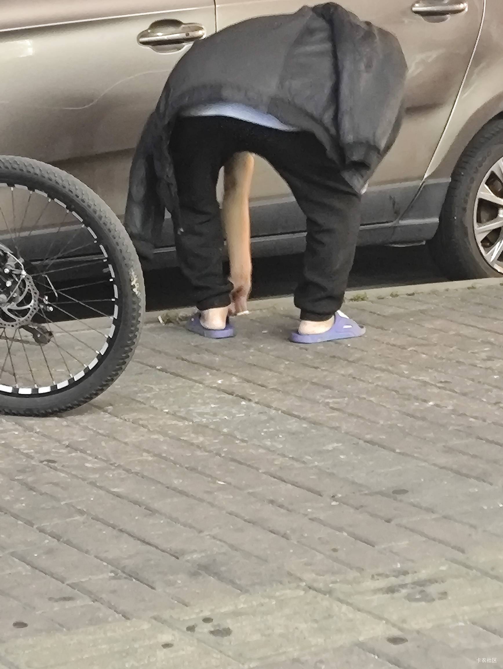 这个老头，天天捡别人的烟头抽，有点恐怖，不怕病毒么！

18 / 作者:快马逐光 / 